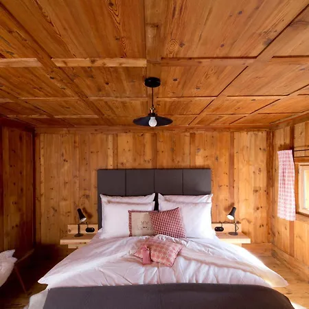 Mesh-mittereggerschneiderhof Dağ evi