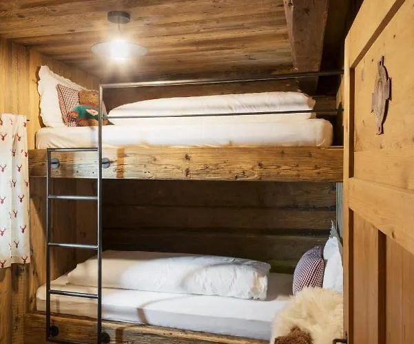 Mesh-mittereggerschneiderhof Dağ evi