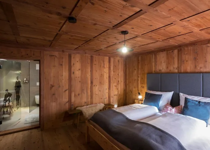 Mesh-mittereggerschneiderhof Dağ evi *