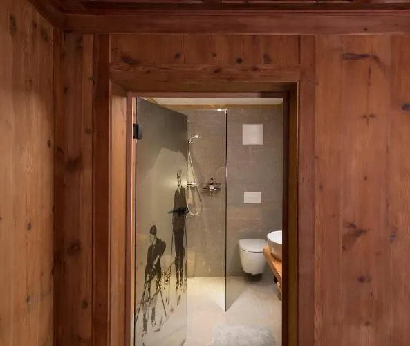 Mesh-mittereggerschneiderhof Dağ evi *